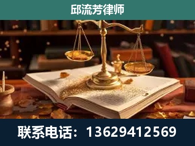 罗平-新型网络犯罪