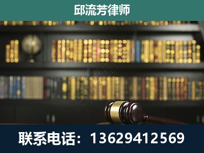 罗平-经济类案件